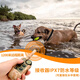 SODOG 新款彩屏遥控科学训狗器静电电项圈训狗神器防止狗叫防爆冲 KT689-拖1(1只狗狗的选)