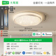 
Grand View Garden (DGY) Living Room Ceiling Light Nordic Starlight Modern Simple Living Room Main Light Atmospheric Minimalist Ambient Eye Protection Lamp 687O Circular 40cm Connected to Mijia APP 24W Full Spectrum
