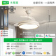 Daguanyuan (DGY) Lüfter leichter Schlafzimmer Licht neuer unsichtbarer Stil, moderner und einfacher nordisches Hauptschlafzimmer -Raum -Ventilator -Lampe 687o Kronleuchter 42 Zoll wurde mit der Mijia App 36W Vollspektrum angeschlossen