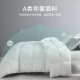 Dynasty Furniture Quilt Core 100% Cotton Feather Quilt Autumn and Winter Thickened Down Quilt White Goose Feather Quilt Pearl White