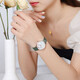 
Emporio Armani watch women, classic small green watch fashionable casual quartz watch, gift for girlfriend on Valentine's Day, small green watch belt AR11150 [small quantity arrives]