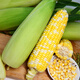 Long-cultivation super sweet two-color fruit corn seeds easy to grow sweet corn seeds extra large drought-resistant spring four seasons sweet waxy corn sticky sweet crispy sweet 89 corn 20g gold medal corn