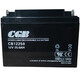 
CGBCB12250 battery 12V25AH fire main unit 24V24AH DC screen UPS backup battery CB12250