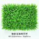 Huawoli simulated lawn (encrypted eucalyptus 40*60) plant wall green plant wall fake lawn turf background wall decoration
