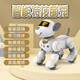 Jjric Early Education Vocation Contrôle de machine intelligente Chog Children's Toys's Garçons 3-6 ans Girls 4-5-8 ans Cadeau d'anniversaire grand programme Smart Programmation Early Education Machine Dog [Blanc] 6.1 Cadeau de la journée pour les enfants