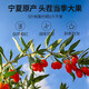 中宁枸杞 特级红枸杞子500g 免洗头茬泡水茶 特级大果250g*2罐