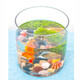 Gong Du Creative Desktop Fish Tank Ecological Round Glass Goldfish Tank Turtle Tank Mini Small Landscaping Home Aquarium Cylindrical Naked Tank Diameter 20CM Height 20CM