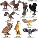 Simulación Oenux Modelo de animales Toys Bird Birds Owl Eagle Parrot Pavo Pavo avalde