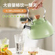 SUPOR kettle 304 stainless steel whistle kettle hot water kettle boiling water compound bottom induction cooker gas universal whistle stainless steel kettle green 2.5L