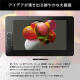 和冠（Wacom）【JD物流 日本直邮】和冠 wacom 手绘板数位屏电脑绘图板绘画板网课写字板 TDTH-2420/K0（液晶数位屏）