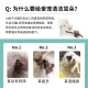 Elofu Ear Cleanser Cat Ear Cleanser Pet Ear Ear Mite Cleaner In-ear Ear Cleanser for Cats and Dogs Two bottles of ear cleaner