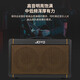 JOYO Guitar Singing Speaker AC40S Outdoor Roadshow Indoor Live Broadcast Internal Recording of Karaoke Charging Bluetooth Speaker AC-40S+DM-3 Wireless Dynamic Microphone