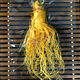 Pékin Tongrentang Jilin Ginseng Changbaisishan Ginseng frais du ginseng frais nord-est rempli de gros vin (le poids brut par branche est d'environ 50 grammes)