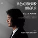 天鹅（SWAN）德国原装进口音簧24孔复音口琴A/B/C/D/E/F/G专业演奏级成人乐器 24孔圆弧款复音B调【不留指纹】