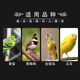 Chaoge bird grain bird grain oriole feed tiger-headed phoenix bird jade-eating bird hibiscus bird grain bird feed grosbeak grain-eating bird feed full price parrot grain 500g I bag
