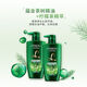 L'Oreal Tea Tree Plant Extract Shampoo 500ml*2+Hair Mask Two