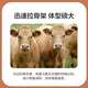 East China Zhengda 4% beef cattle and sheep premixed calf and lamb fattening cattle and sheep material to fatten and gain weight, pull the skeleton without diarrhea, 1 bag of special material for mutton and sheep
