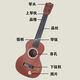 hluru Ukulele beginner's entry-level guitar 23-inch beginner instrument adult ukulele college student gift [beginner wood color] 23 inches 54 cm