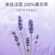 美乐家美乐家9276薰衣草精油15ml100%植物精油生活馆官网直购 薰衣草精油 15ml