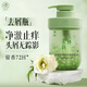 Ruyi (Ruyi) Salicylsäure-Shampoo für Männer und Frauen, um Schuppen und Juckreiz zu entfernen und Öl lang anhaltende, flauschige, silikonfreie Öl Shampoo-Goldliste Nr. 1 zu kontrollieren