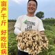 Peanut seed original seed Academy of Agricultural Sciences new variety shelled peanut thin shell large peanut seed high yield short stalk Luhua No. 8 shelled original seed hand-selected 2500 grams (five Jin Jin is equal to 0.5 kilograms)