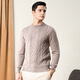 春竹羊毛衫男士圆领春季100%纯羊毛保暖针织毛衣中青年羊毛衫 浅咖啡 L （110CM）