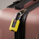 Plum customs lock overseas travel luggage gym cabinet drawer ABS plastic steel cable TSA customs password padlock TSA23902 black