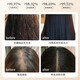 Daiqing Silk Antieletion Shampoo Shampoo Fat Donglai Тот же официальное солидное развитие и рост крем для волос Флагманский антилоговый мужчина и женский магазин 1 бутылка 420 мл [контроль нефти, анти-отрывок, антиталость и пушистость]