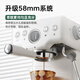 Petrus [National Subsidy] Coffee Machine Italian Concentrated Household Small Semi-Automatic Steam Milk Froth PE3833 Sea Salt Small Formula