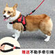 PPO dog leash vest type dog walking rope Teddy Corgi dog leash medium-sized dog small dog pet harness chest harness + 2 meters rope red S code suitable for 10-18 Jin Jin is equal to 0.5 kg.