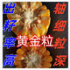 
New species, double-national review, Beijing Agricultural Sciences, 728 early maturity, high temperature, dense and dense high yield, corn species, short rod, red shaft corn seeds, Beijing Agricultural Sciences, 728 corn species [4500 grains] 1 bag