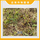 金帆达金帆达 757草甘膦铵盐 草甘磷柑橘园杂草低毒农药除草剂 50g