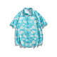 Nebel Sky Hawaiian Style Kurzärärmelblumen-Hemd Herren Sommerpaar Reisen losen Freizeittops Strandjacke Männer und Frauen HK-6622 Meizhou Island Green M (Empfohlen 110-130jin [Jin gleich 0,5 kg])