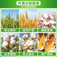 50% chlormequat, wheat, cotton, corn, flower growth control drug, anti-lodging stem thick growth regulator 500g