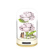 
Qijijiaqi JK2675-78 building blocks and flower music box for girls Valentine's Day romantic gift roses assembled and delivered Jiaqi JK2677 Little Bird (music box + display cover)