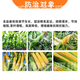 Guoguang Aifeng corn chlormequat amine fresh ester ethephon control growth agent anti-lodging special growth regulator 55g*1 set