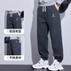Trueves wardrobe men's spring loose trousers 2025 new workwear harem pants trendy casual pants men's black XL