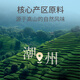 华祥苑乌龙茶 潮汕凤凰单枞特级100g轻火铁盒装单丛茶叶