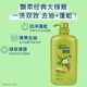 Piaoru Shampoo Shampoo Lavado de agua Retire el champú de aceite Champú para hombres Retire la caspa y la fragancia Champú Gran capacidad Botella del hogar Fabor de la orquíde