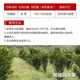 
One seven hoe 757 glyphosate herbicide glyphosate ammonium salt orchard wasteland beef tendon grass dead grass root rot agent pesticide dead grass root rot [50 bags]