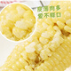 Jingxiansheng Northeastern waxy corn 3 yellow 3 white 3 black 220g*9 sticks vacuum packed fresh sweet waxy corn on the sticks straight from the source
