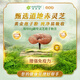 Amway (Amway) Nutriliya Hanben Powder Break-Block Ganoderma Lucidum Spore Powder 1 Caja (60 piezas)