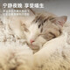 KimPets cat nest, all seasons, universal pet kitten house quilt, warm cat kennel, winter supplies, closed cat bed, soft crystal velvet (cherry blossom powder) soft wrap, diameter 60cm, suitable for pets with 30 Jin [Jin equals 0.5 kg]