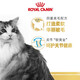 ROYAL CANIN Ragdoll Adult Cat Food RA32 General Food 12 months and above 2kg