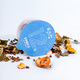Zhang Taihe Four Seasons ICilioma Tea American Ginseng Dendrobium Officinale Green Money Willow Hojas de mulón de melón amargo Cetro de muelas Hojas de stevia Hojas de salud Té Four Seasons Icilioma Regalo de regalo 225g (15 g*15 latas)/caja