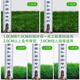 Mengrouju artificial lawn encrypted artificial fake turf green carpet enclosure outdoor indoor kindergarten playground decorative grass artificial turf (25mm summer grass/square)