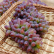 Grape seeds potted fruit tree seeds grape balcony fruit seeds grape tree raisin planting Goldfinger grape seeds 28 capsules p