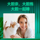 Little Pet Skin can be safe for cats, black chin oil, tail, dog odor removal, cleansing, no-wash foam 70ml