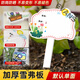 Xushansi Kindergarten Simulation Pot Brand Gardening Simulation Flower Pot Simulation Label Signage Succulent Care Brand DIY Handmade YHCD-04 10x16cm