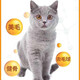 Prominent Cat Food 10kg Marine Fish Flavor General Cat Food Beef Flavor 20Jin Jin equals 0.5kg Fish Flavor 20 1 bag 10kg Beef Flavor